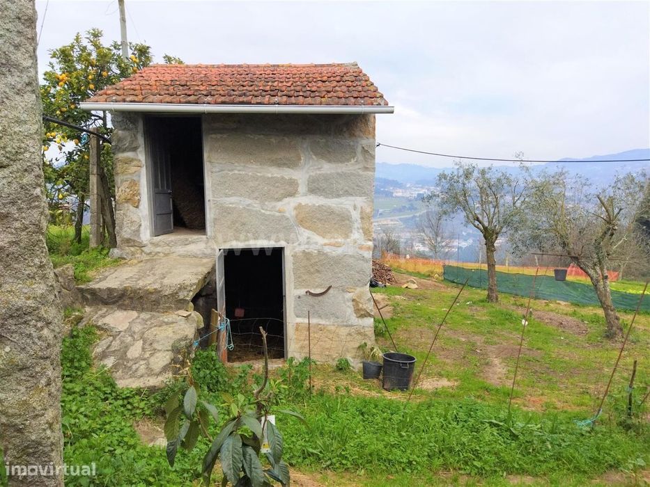 Terreno / Cinfães, Espadanedo — Espadanedo, Viseu