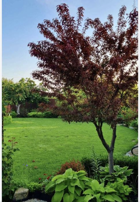 Дом по адресу ул. Приморская (площадь 80 м²) - Atlanta.ua - фото 24