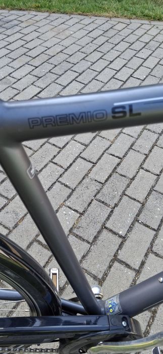 Rower męski Pegasus