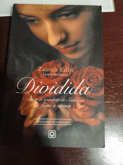Dividida de Zainab Saldi
