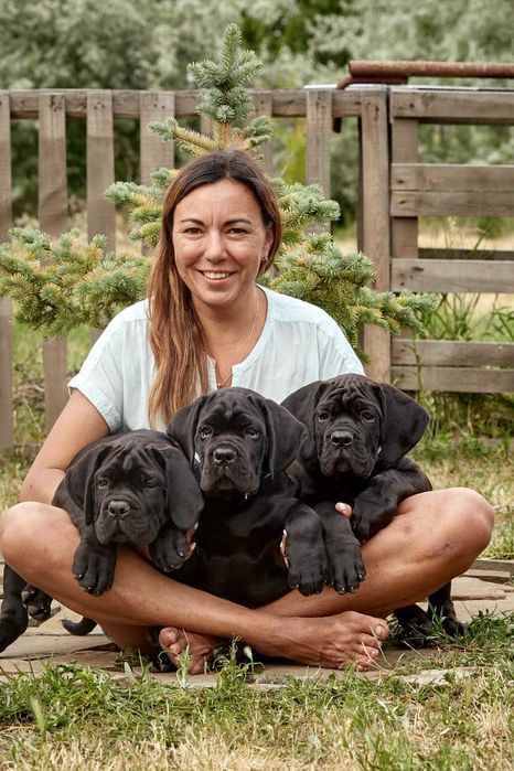 Круті ,міцні з відмінним походженням