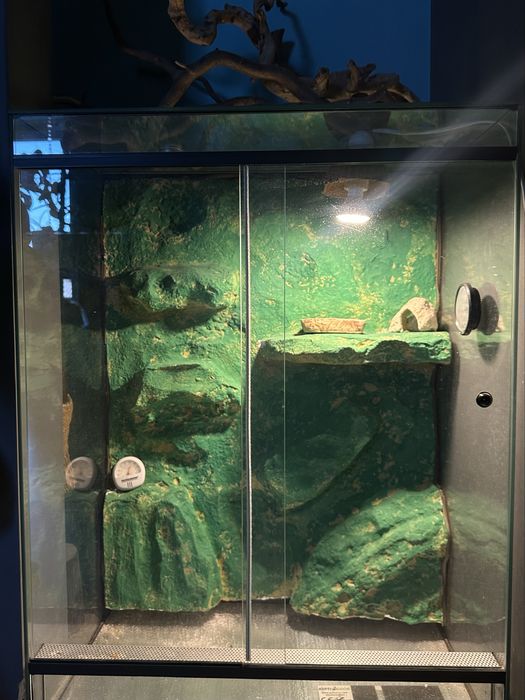 terrarium dla gada gekona jaszczurki 80x60x40 cm