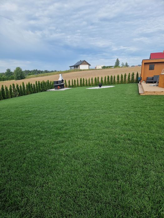 Trawa z rolki Premium 40 m2 z dostawą pod dom