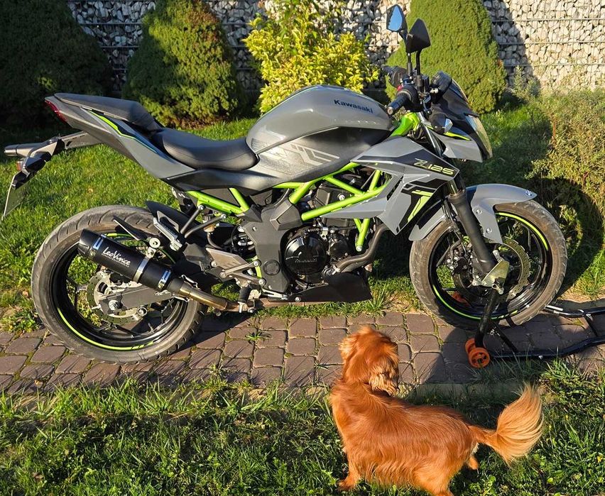 Kawasaki