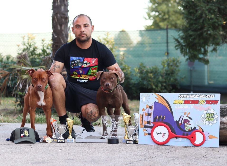 Імпортний пес з Італії розплідник Skyline