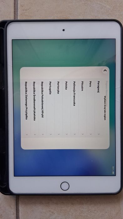 iPad mini 5 Gold z etui - 256GB