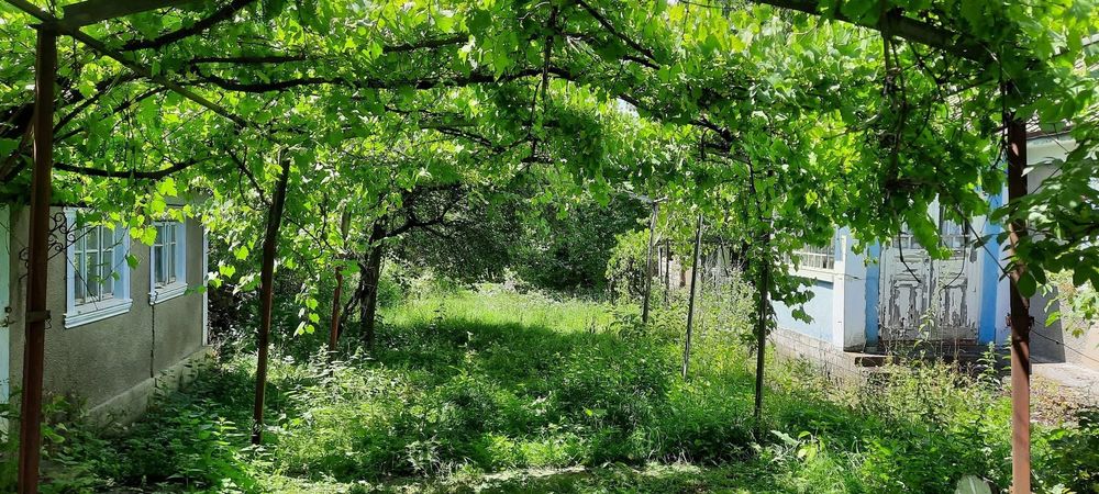 Дача с.Рогізна (Камʼянець-Подільський район, Хмельницька область)