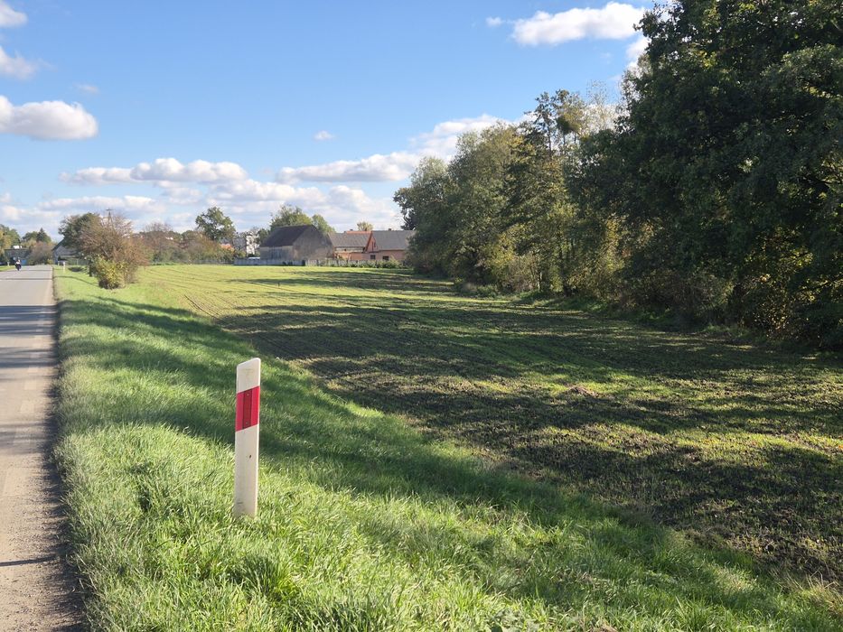 Działki budowlane + ogród - Widok 4