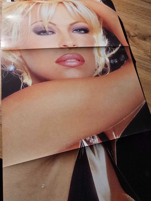 アメリカ版 PLAYBOY SPECIAL EDITIONS ZIPPO | Zapalniczka sztormowa Playboy 360° Design - OnlineOnly