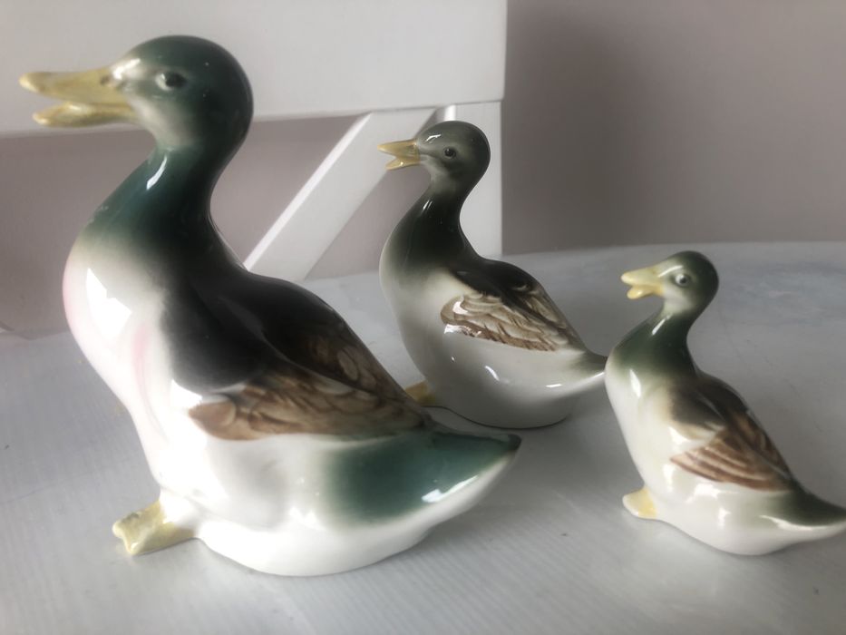 Гусі від малого до великого