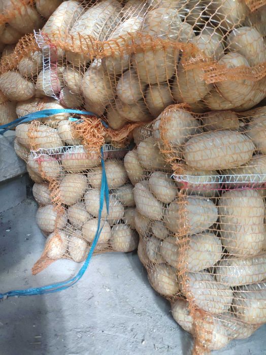 Ziemniaki kartofle Queen Anna możliwy Transport