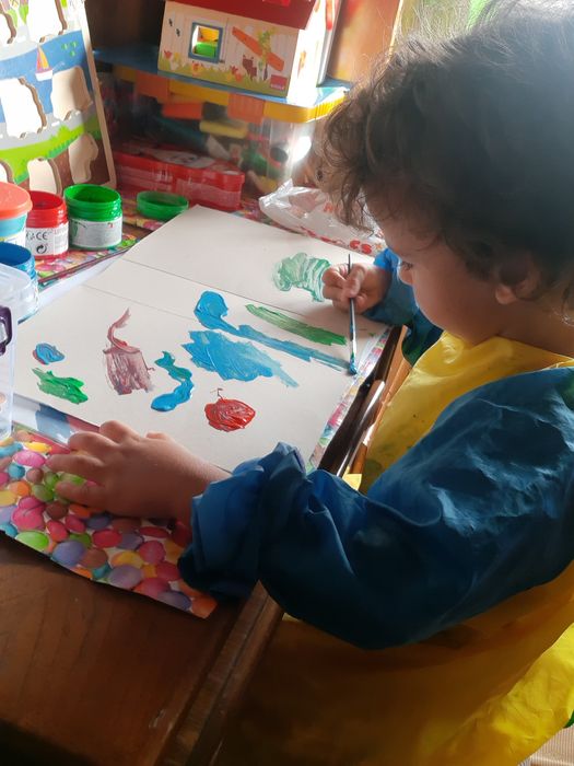 Serviços de limpeza babysitting engomadoria e canto