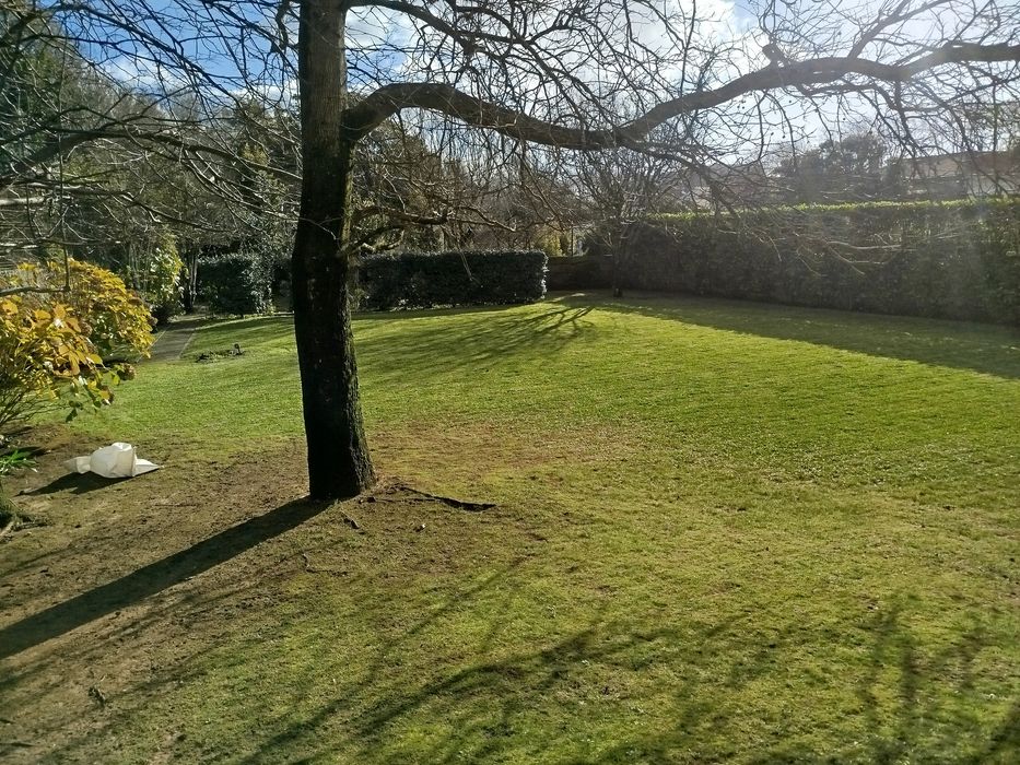 Manutenção e construção de jardins