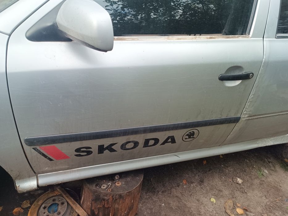 Стекла шкода тур.