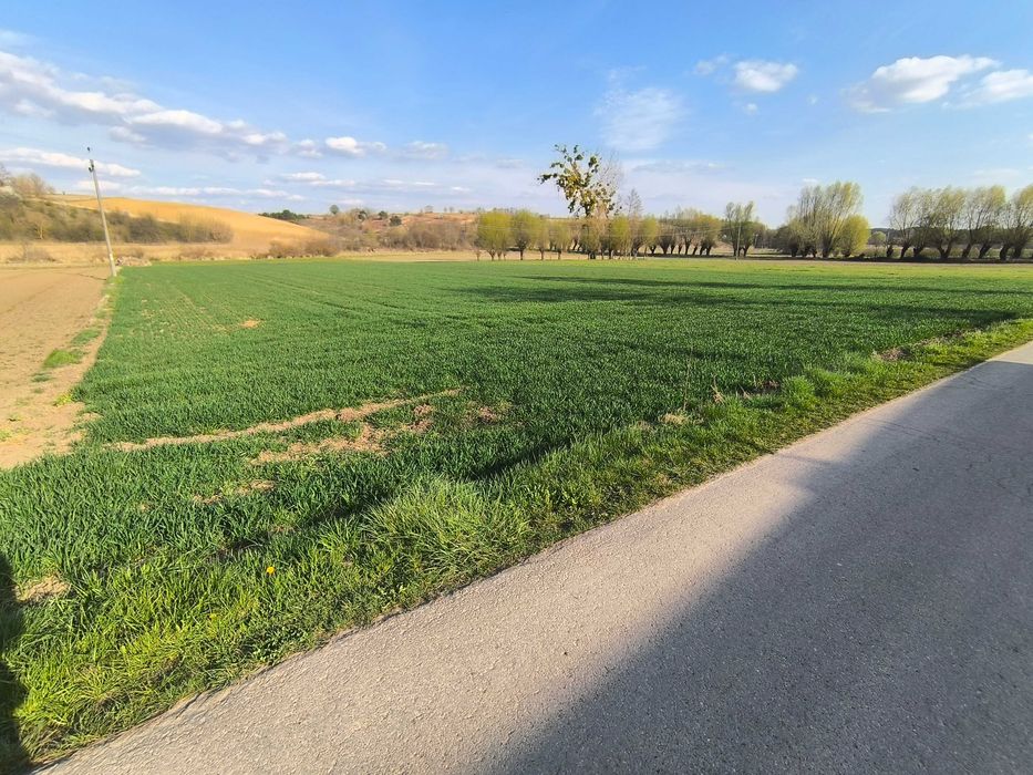 Sprzedam zabudowaną działke (gospodarstwo, dom) wraz z polem. - Widok 5