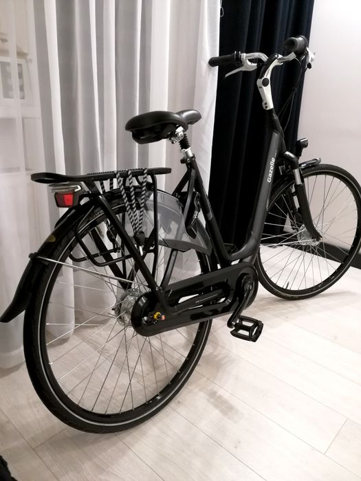 Gazelle Orange C7+