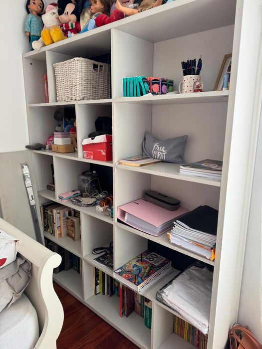 Armario com prateleiras