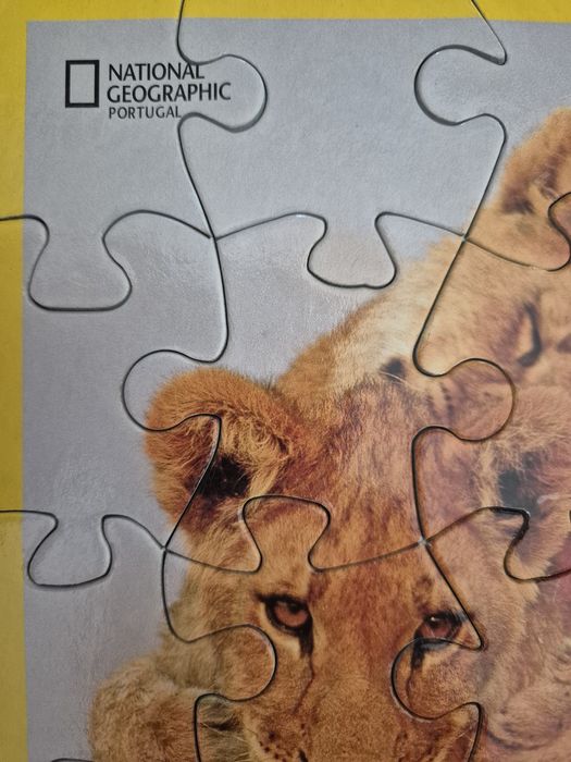Puzzle National Geographic - Leão