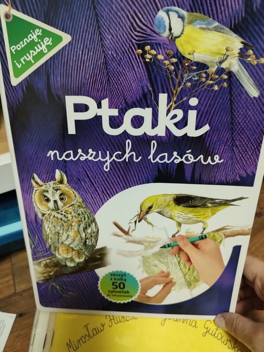 Ptaki naszych lasów