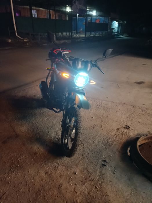 Продам мустанг динго