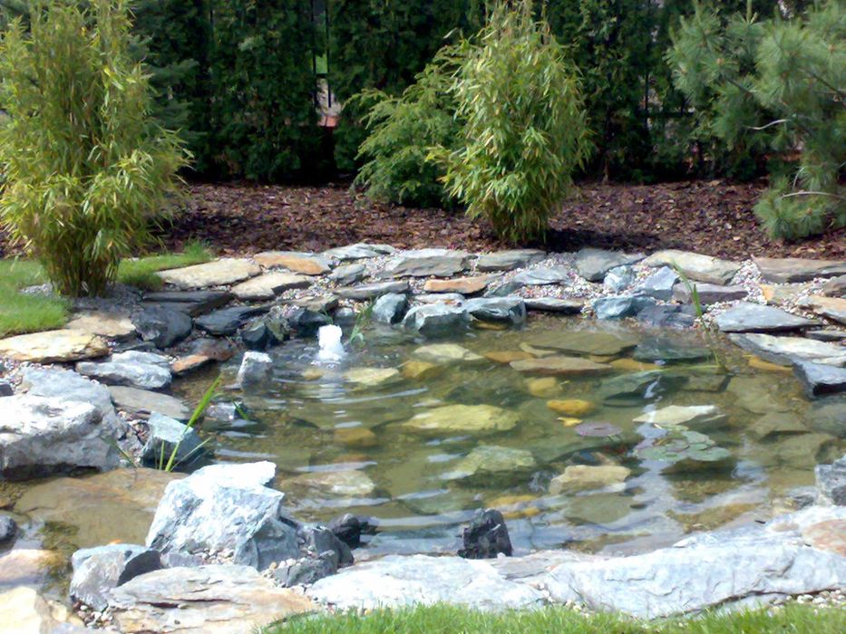 Ogrodnik z wieloletnim doświadczeniem