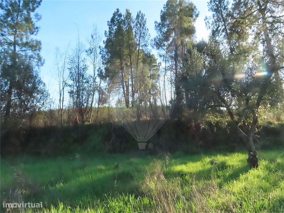 Quinta  para venda
