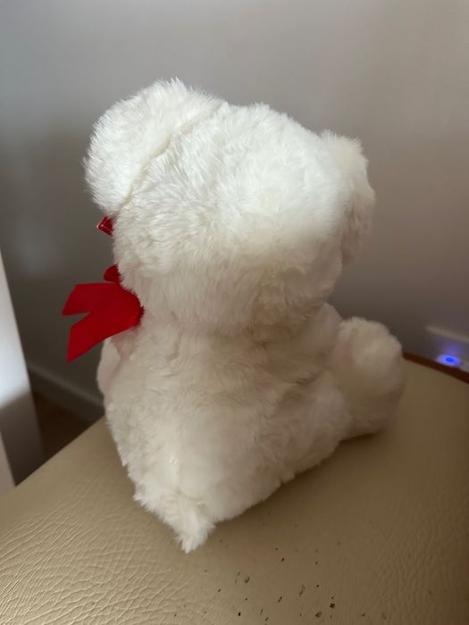 Ursinho completamente novo