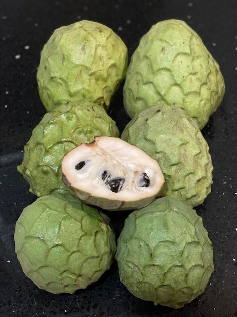 15 sementes de anona