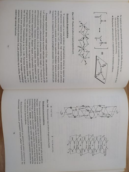 Monekularna podstawy biologii, na studia Kozik, Turyna