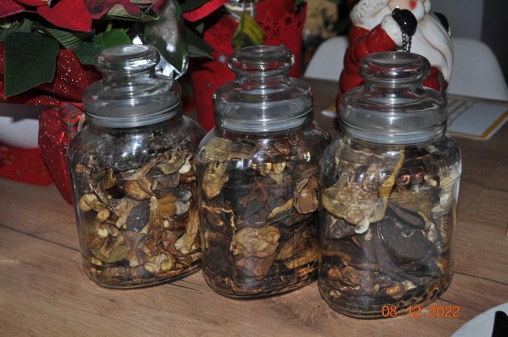 Grzyby suszone w całości podgrzybki, kozaki, maślaki zbiór 2024!