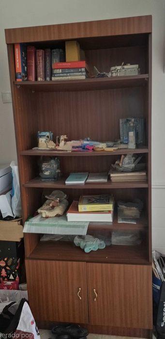 DOU  Estantes livros