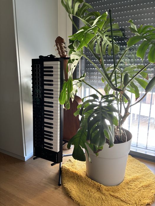 M-Audio Oxygen Pro 49