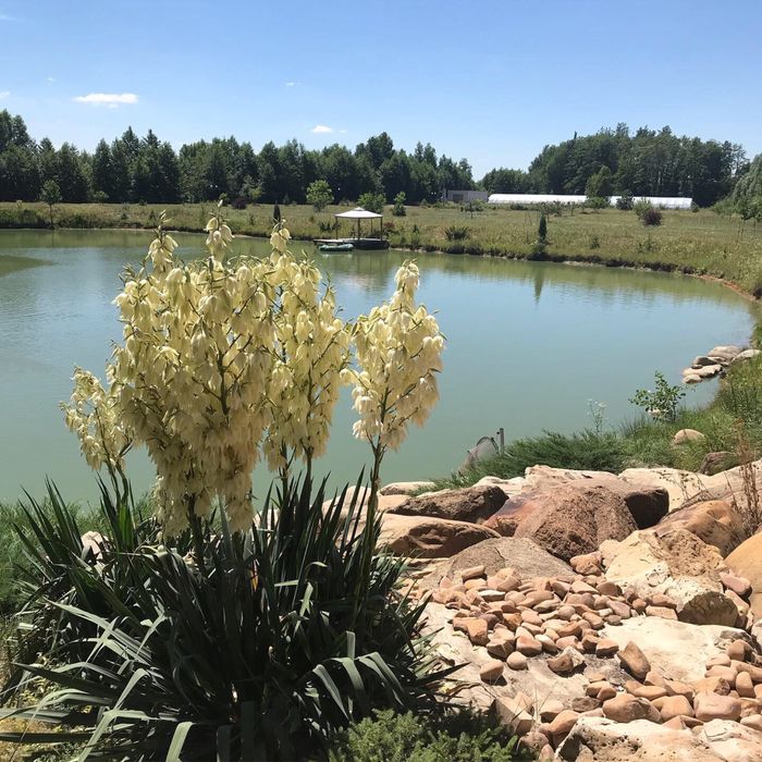 Дом в лесу на озере с камином под Киевом. Всегда есть свет и интернет.