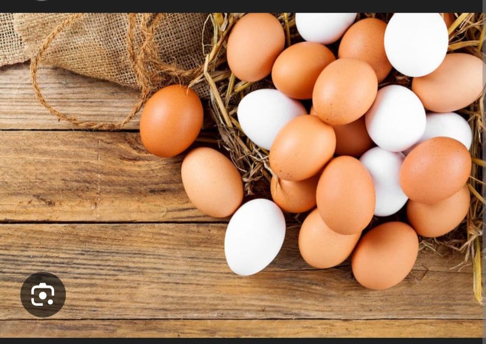 Jajka od szczęśliwych kurek