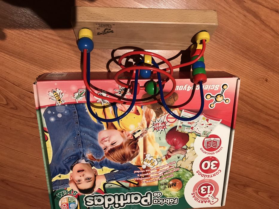 Brinquedos educativos science 4 you outro madeira