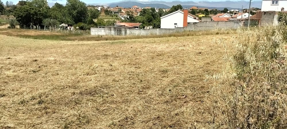 Serviços agrícolas