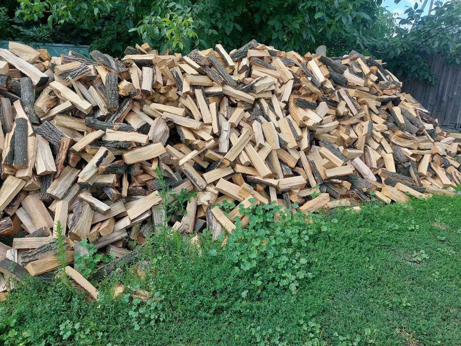 Дрова рубані та в колодках