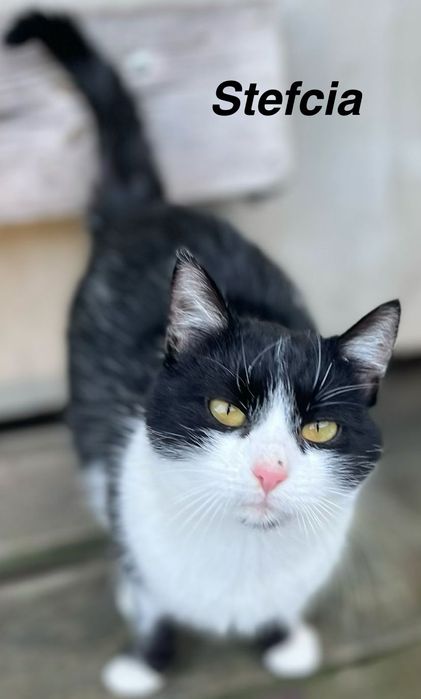 Przekochana Stefcia błaga o dom...