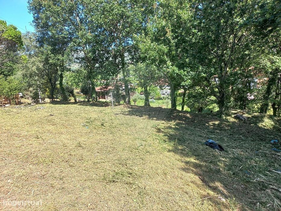 Terreno  para venda