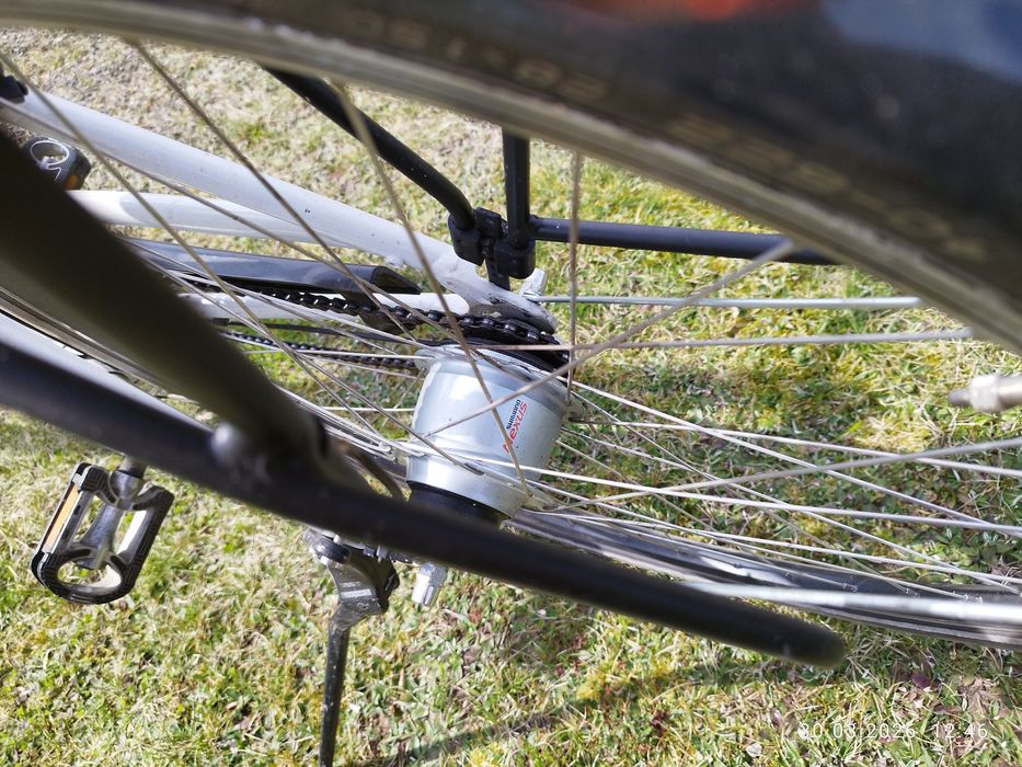 Rower miejski Pegasus