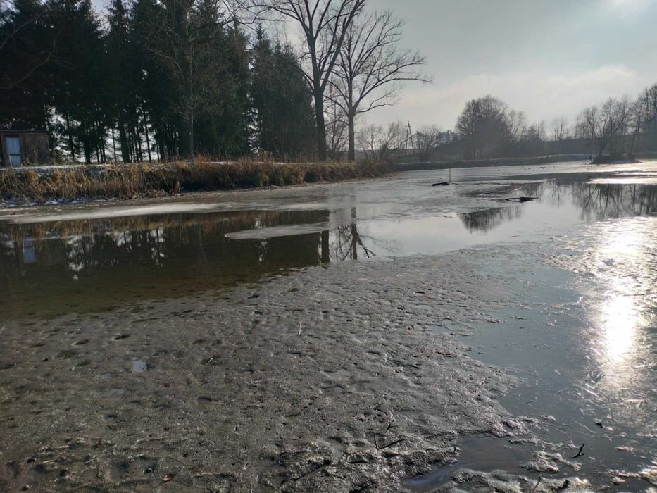 Oddam nawóz (osad denny ze stawu,muł,obornik)