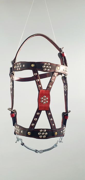 Вуздечка шкіряна,з шорками і без шорок, ручна робота