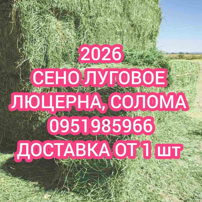 Сено 2026 (сіно) в тюках мешках (люцерны и др) с доставкой. Большие объёмы.