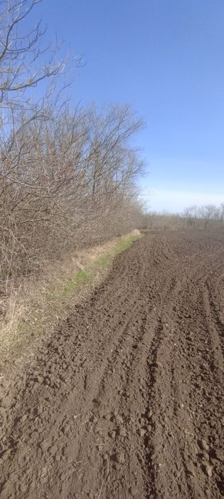 Продаж земельної ділянки с. Колодисте