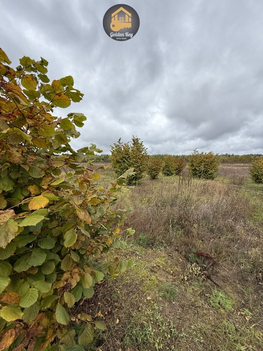 Продам 1.4га під садівництво, засаджено горіхами, бізнес, 40кмКиїв