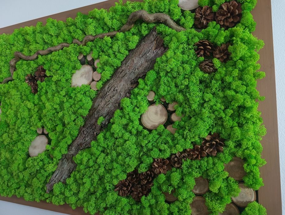 Obraz w drewnianej ramie 165x66 cm mech chrobotek