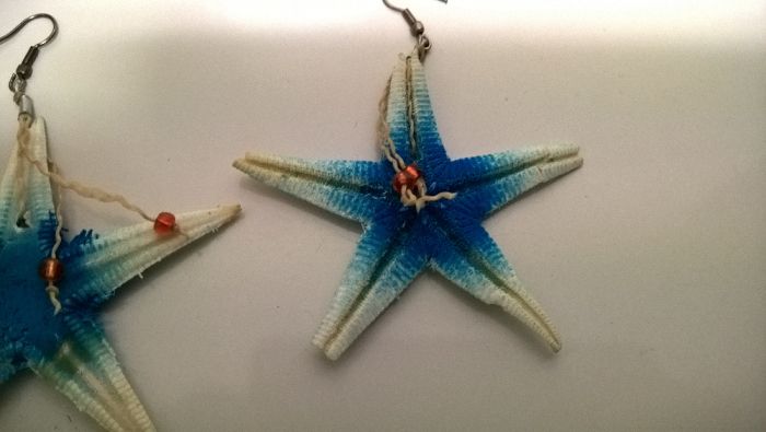 Brincos Estrelas do Mar Branco e Azul (portes incluídos)