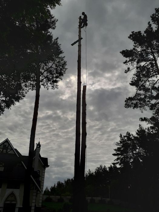 Видалення дерев Корчування пнів Демонтаж будинків