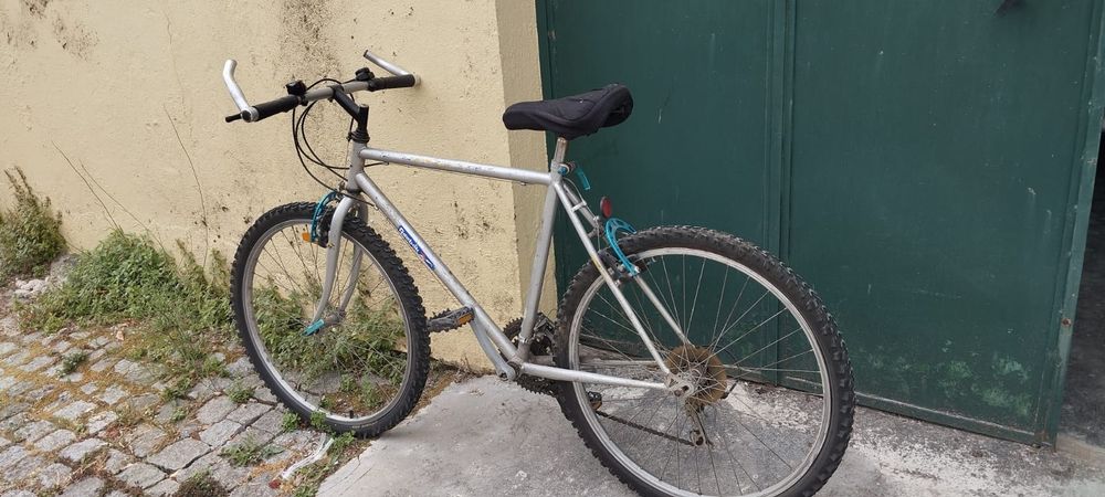 Bicicleta de Adulto