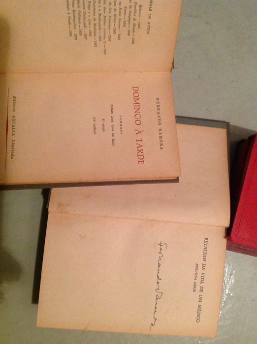 Almeida Garret,2livros-Viagens na minha Terra, Dona Branca